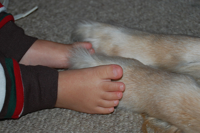 thoughts on connection from a misanthrope