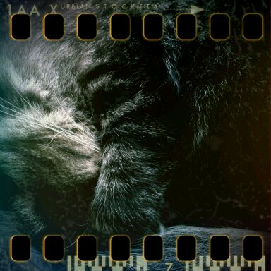 #augustbreak – Charlie